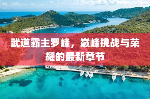武道霸主羅峰，巔峰挑戰(zhàn)與榮耀的最新章節(jié)