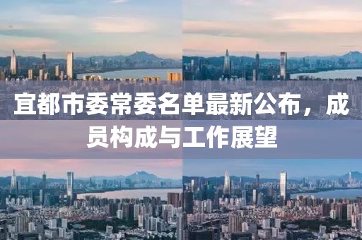 宜都市委常委名單最新公布，成員構(gòu)成與工作展望
