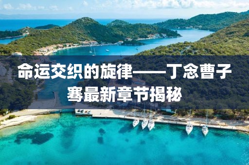 命運(yùn)交織的旋律——丁念曹子騫最新章節(jié)揭秘