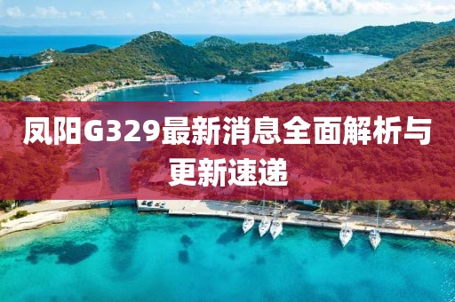 鳳陽(yáng)G329最新消息全面解析與更新速遞