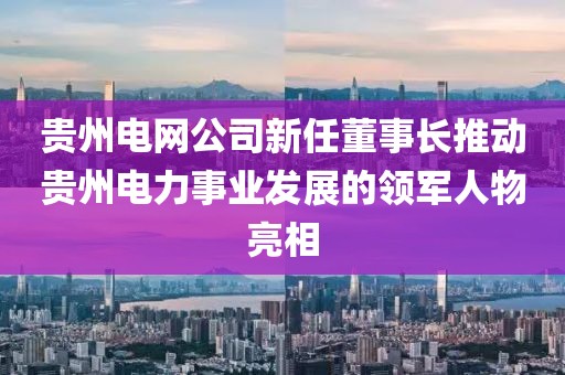 貴州電網(wǎng)公司新任董事長推動貴州電力事業(yè)發(fā)展的領(lǐng)軍人物亮相