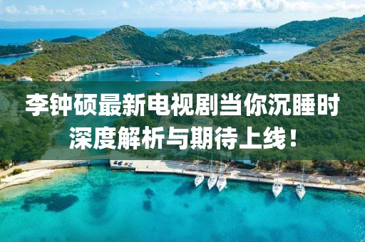 李鐘碩最新電視劇當(dāng)你沉睡時(shí)深度解析與期待上線！