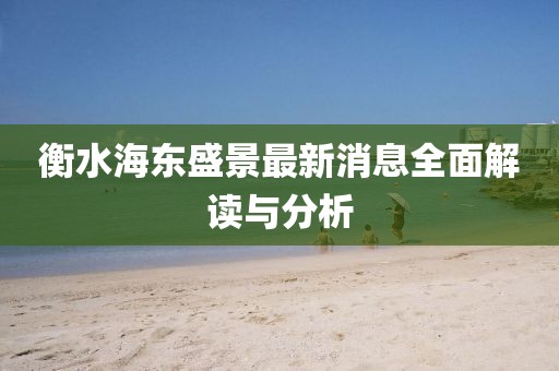 衡水海東盛景最新消息全面解讀與分析