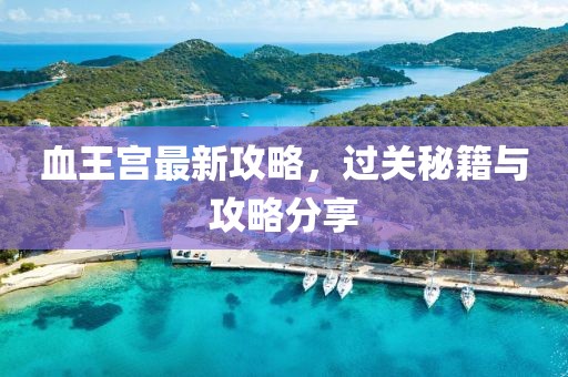 血王宮最新攻略，過關(guān)秘籍與攻略分享