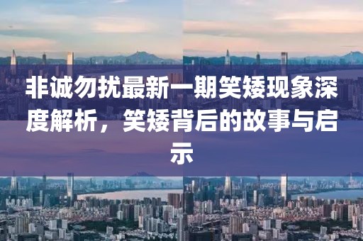 非誠勿擾最新一期笑矮現(xiàn)象深度解析，笑矮背后的故事與啟示