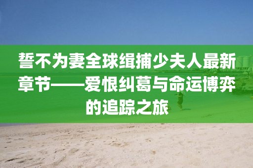 誓不為妻全球緝捕少夫人最新章節(jié)——愛恨糾葛與命運(yùn)博弈的追蹤之旅