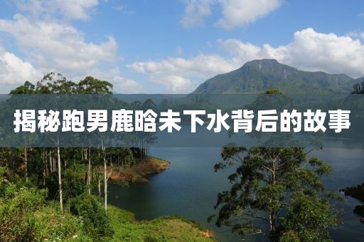 揭秘跑男鹿晗未下水背后的故事