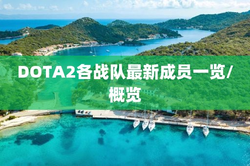 DOTA2各戰(zhàn)隊(duì)最新成員一覽/概覽