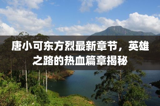 唐小可東方烈最新章節(jié)，英雄之路的熱血篇章揭秘