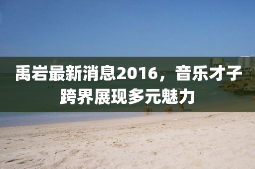 禹巖最新消息2016，音樂才子跨界展現(xiàn)多元魅力