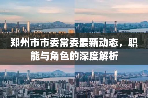 鄭州市市委常委最新動(dòng)態(tài)，職能與角色的深度解析