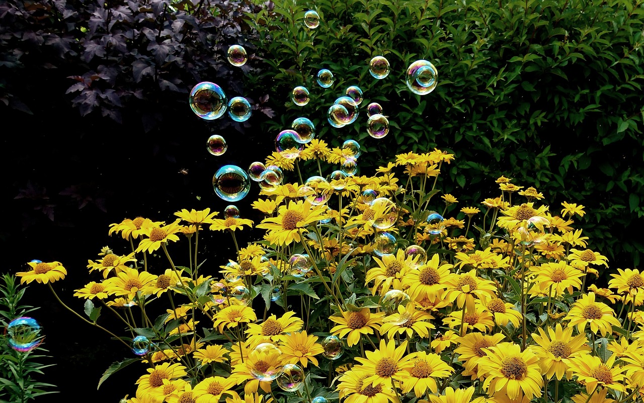 祥臨鐵路最新動(dòng)態(tài)解析，全面解讀最新消息