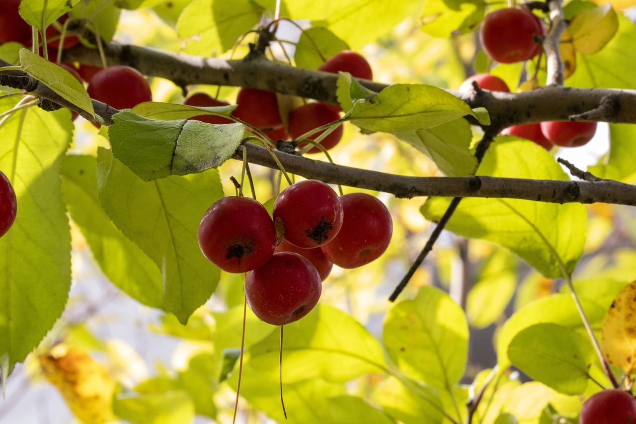 黔西撤縣建市最新動態(tài)，縣域經濟轉型升級邁入新篇章