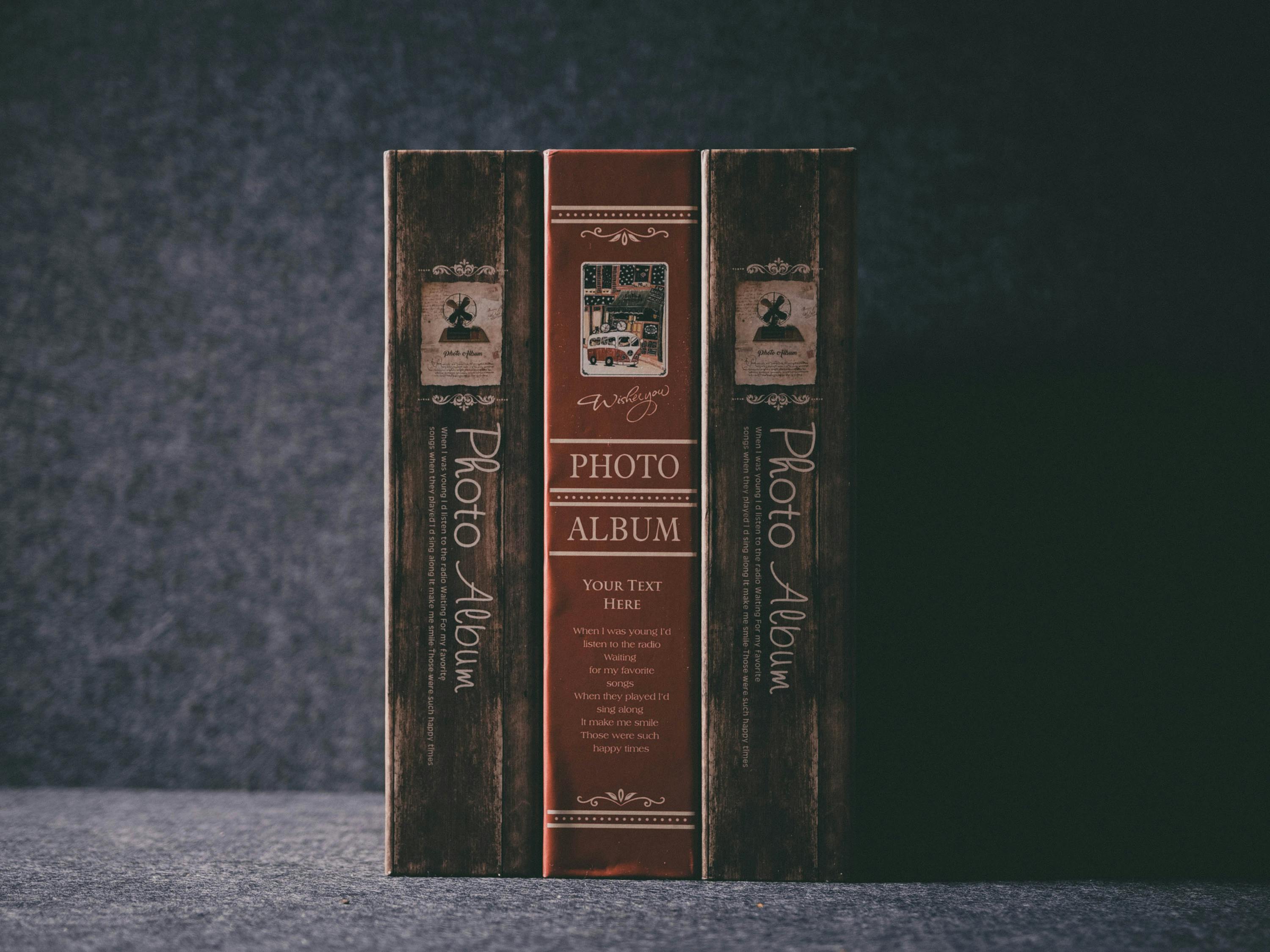 儀隴新聞網(wǎng)最新爆料解析，地區(qū)新動態(tài)與熱點話題深度探討