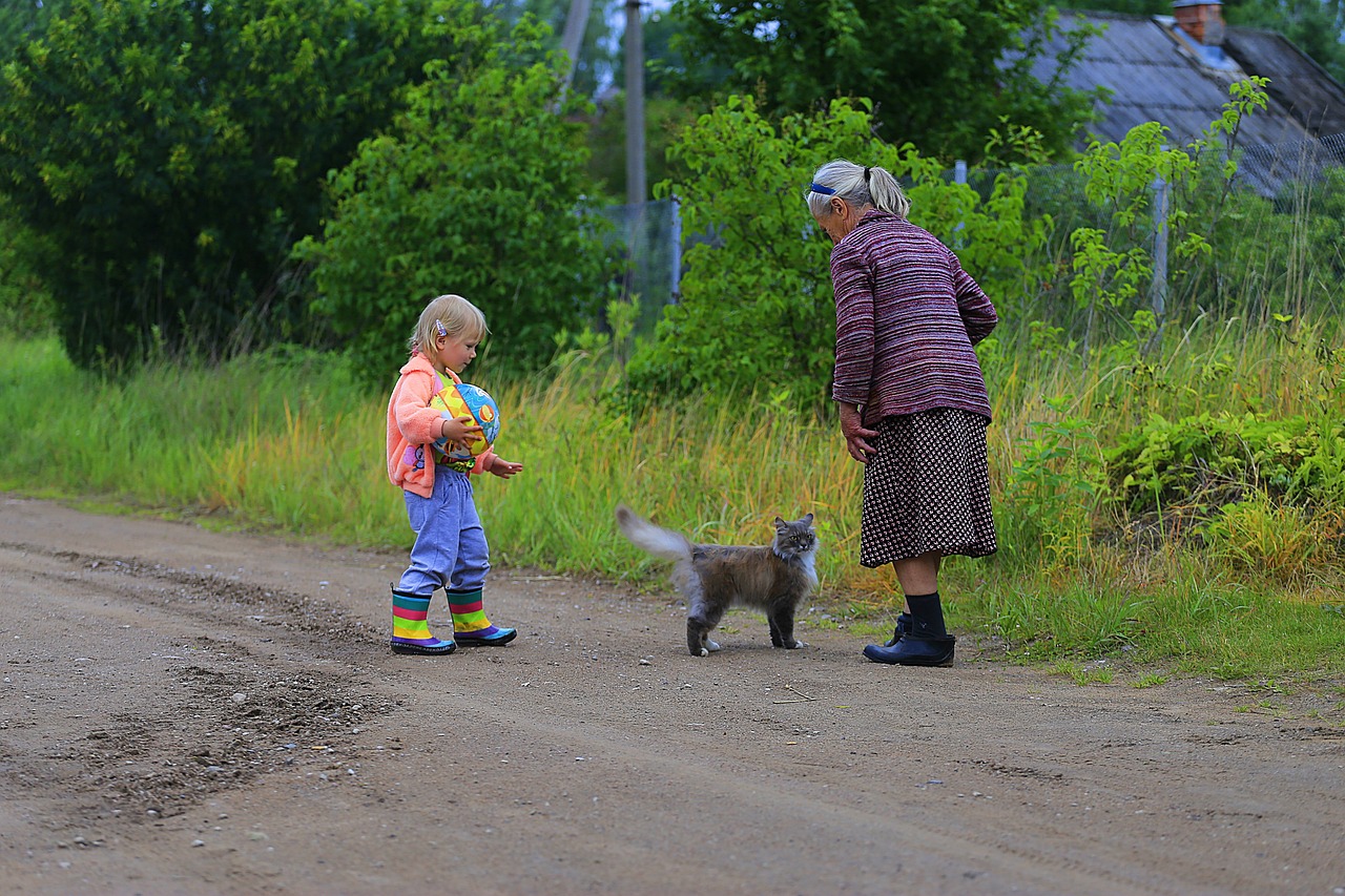 最新農(nóng)村愛情電視劇，鄉(xiāng)村生活的浪漫與真實之旅