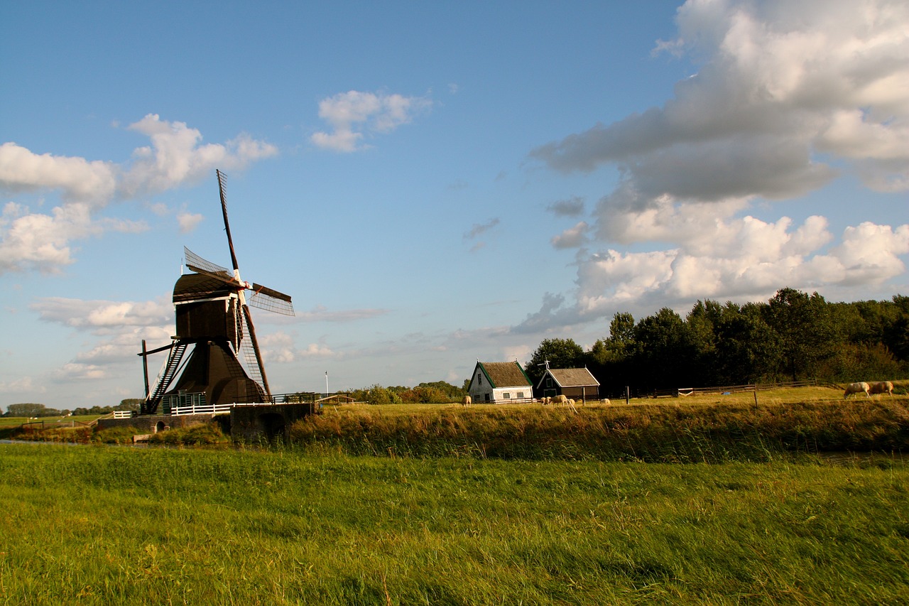 沙鍋村改造最新動(dòng)態(tài)，重塑鄉(xiāng)村風(fēng)貌，引領(lǐng)鄉(xiāng)村振興之路