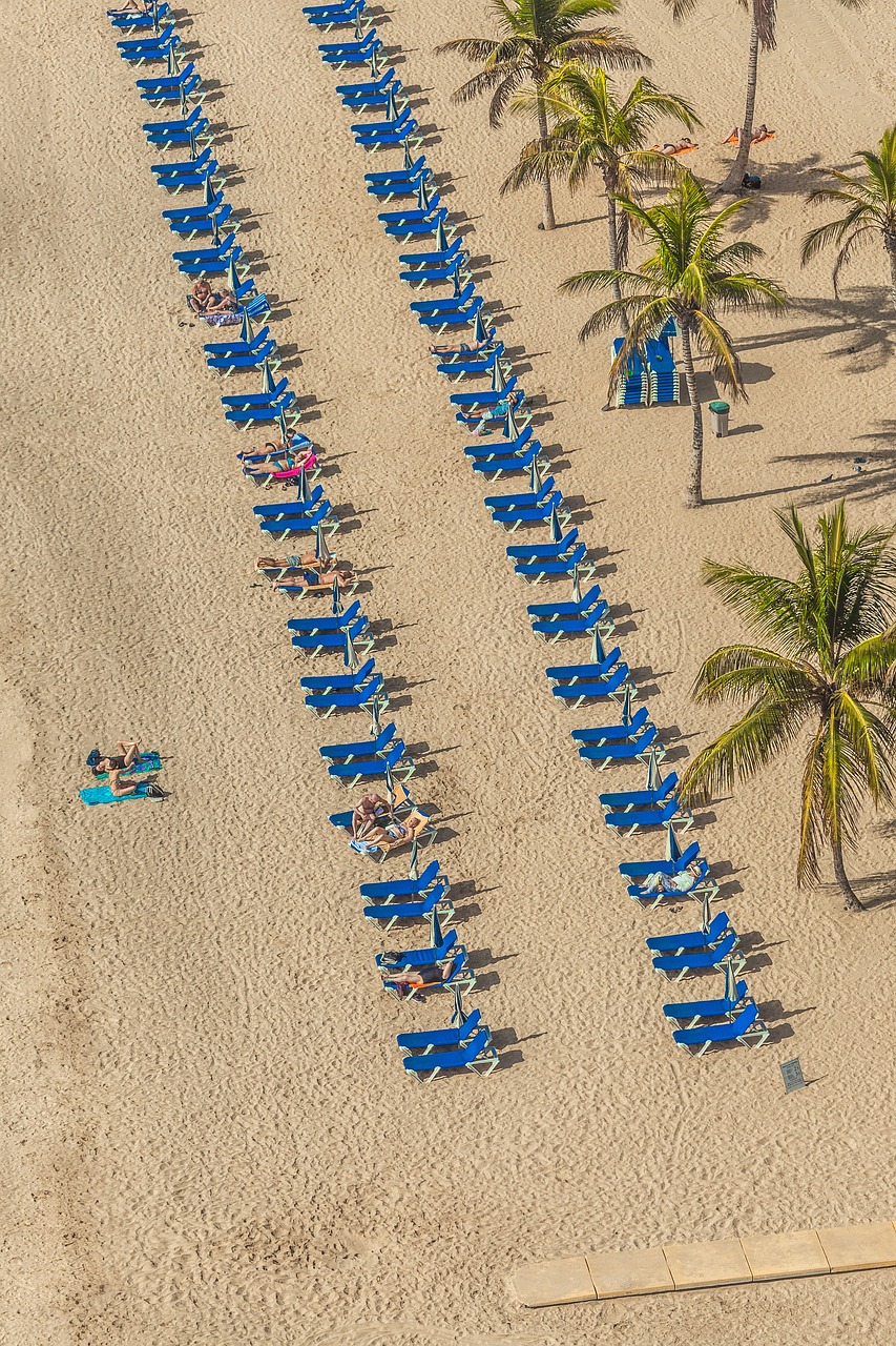 愛口袋最新版下載探索，最新體驗(yàn)之旅