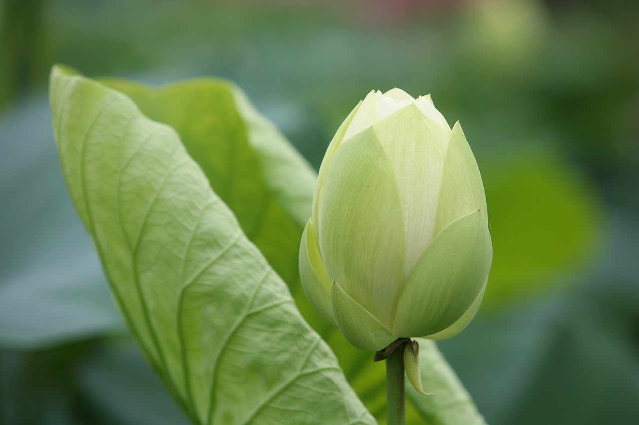 大地傳媒重組最新動態(tài)，重塑傳媒產(chǎn)業(yè)格局取得重大進展