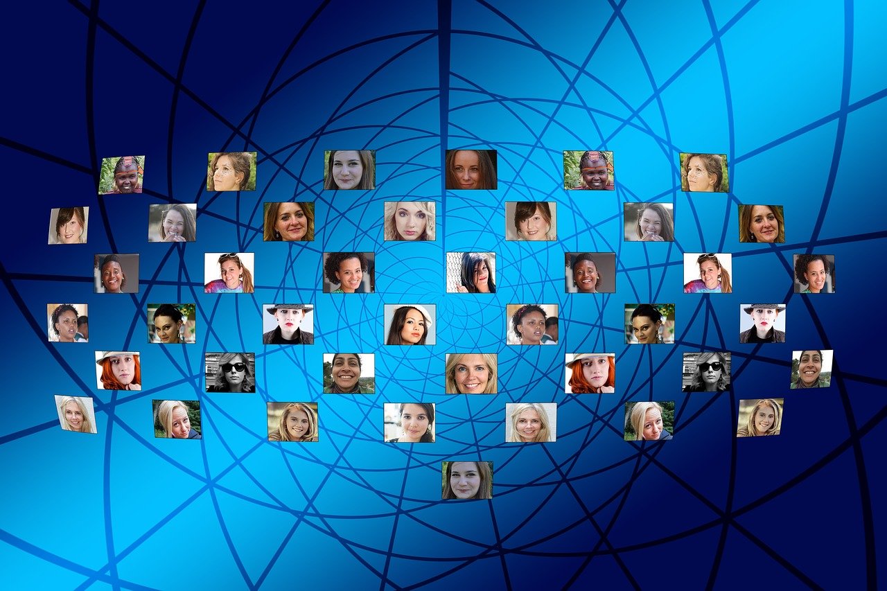 多寶魚市場最新動態(tài)與行業(yè)深度解析，發(fā)展趨勢與市場新聞速遞