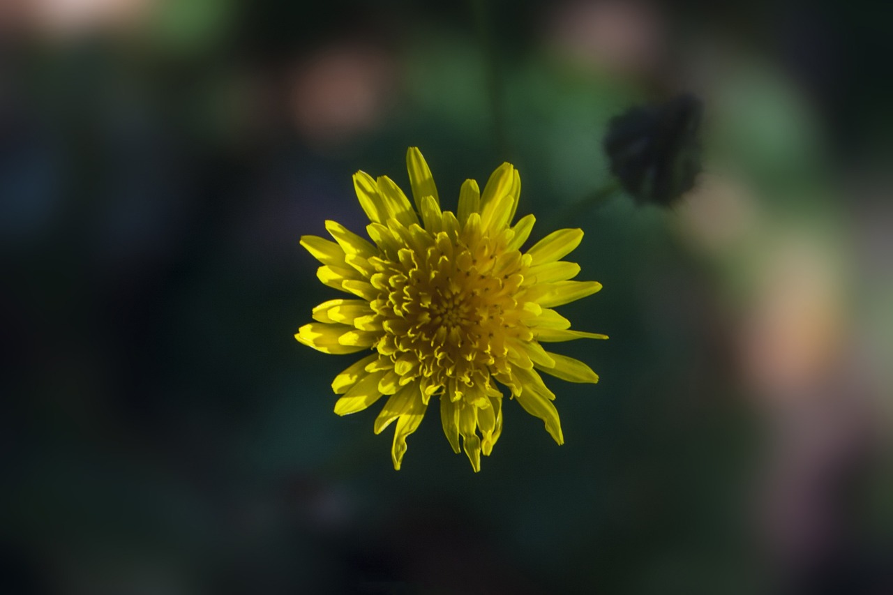 湛江仁?；▓@最新動(dòng)態(tài)更新