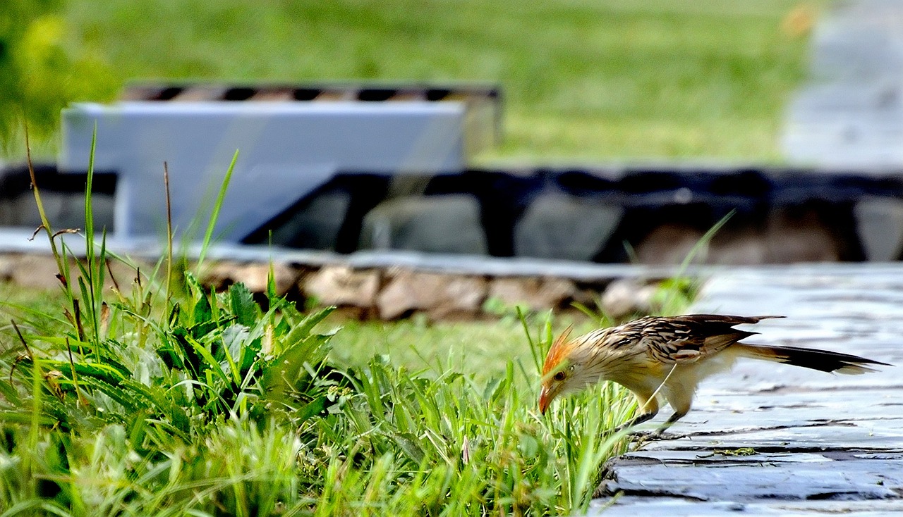 蚌埠匯金廣場(chǎng)最新動(dòng)態(tài)更新，最新消息一覽