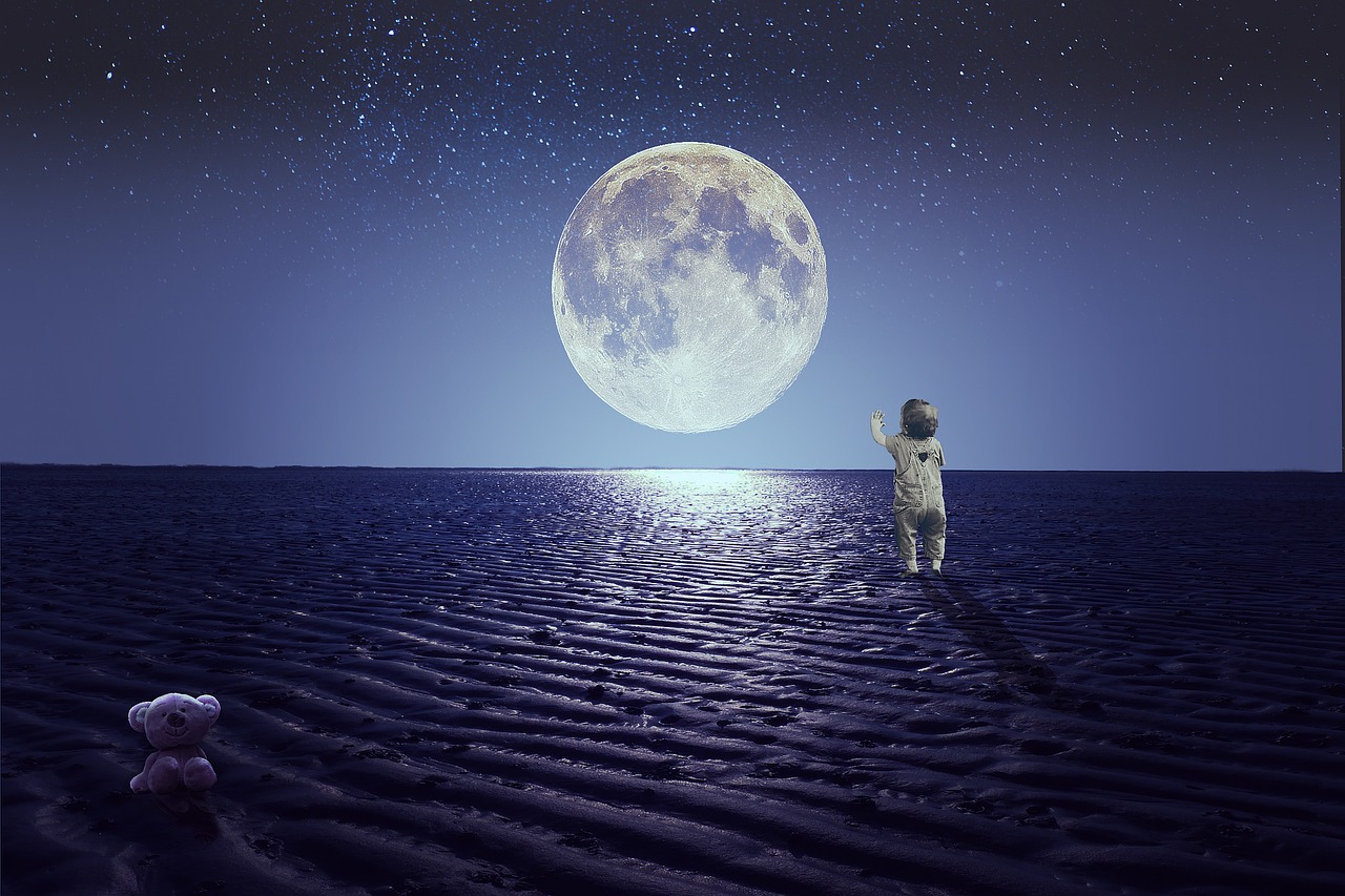 2025年1月 第516頁