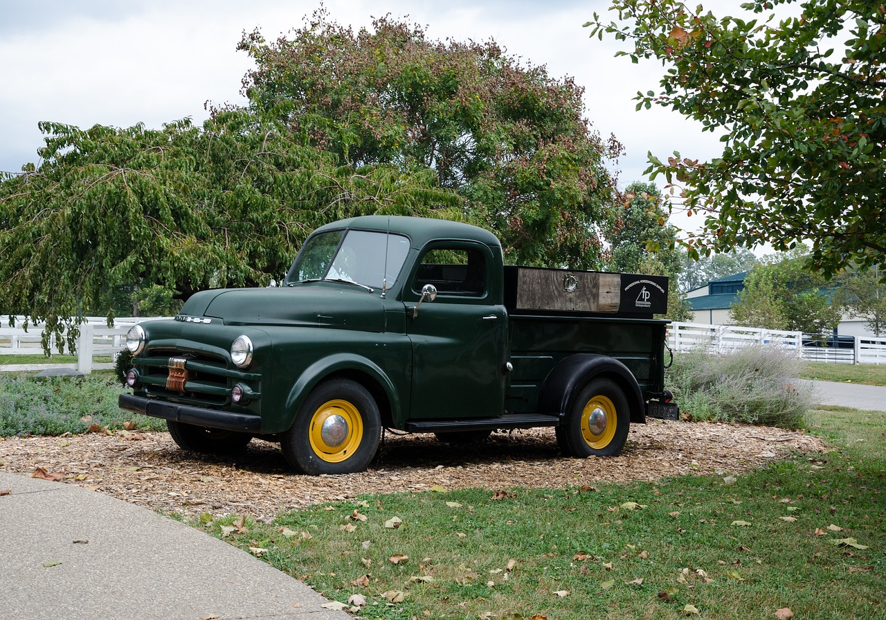 文一千樹(shù)灣最新動(dòng)態(tài)，揭開(kāi)未來(lái)繁華序幕