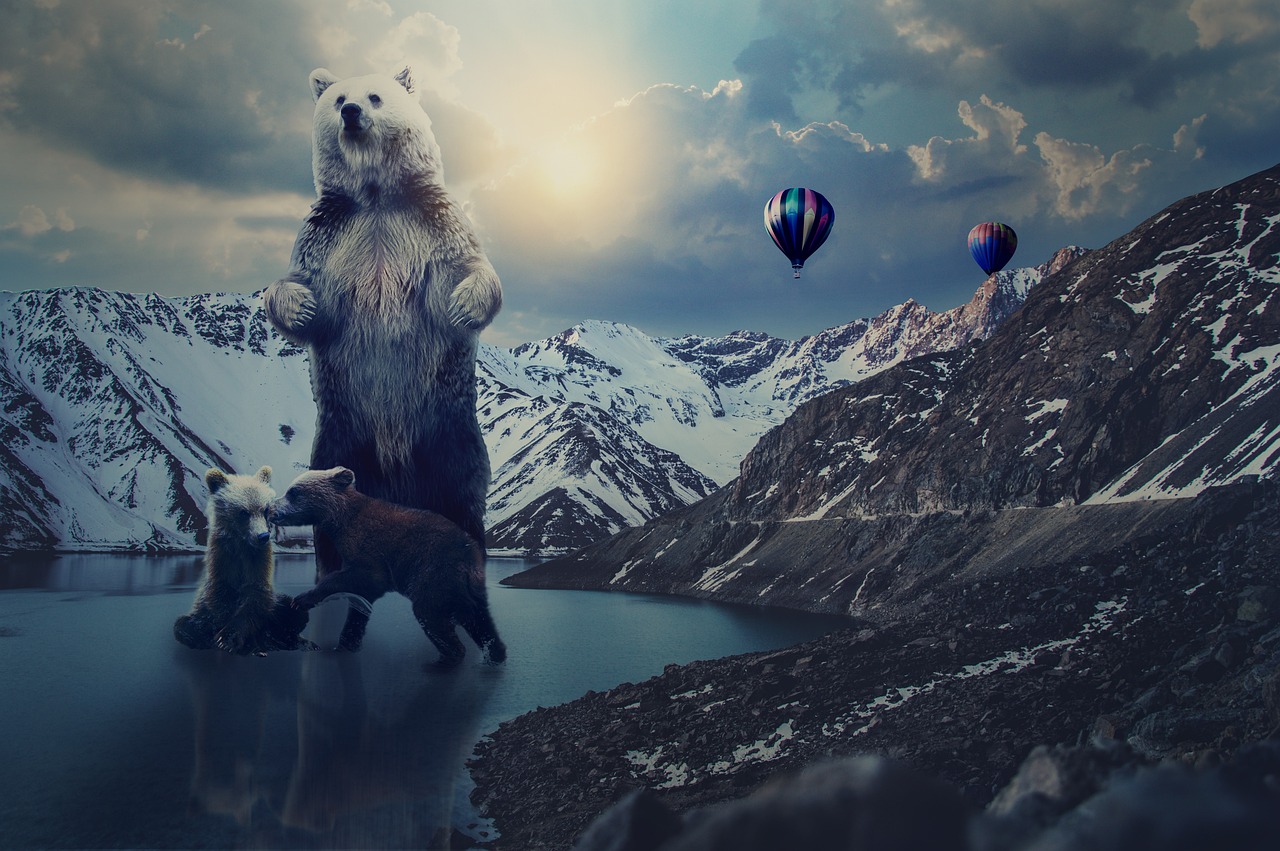 帝王雷最新版本下載，探索與體驗之旅