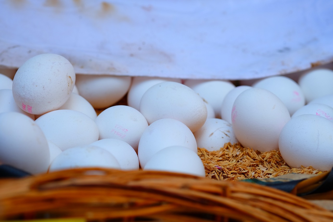 瀏陽關口未來展望，最新發(fā)展動態(tài)及前景展望