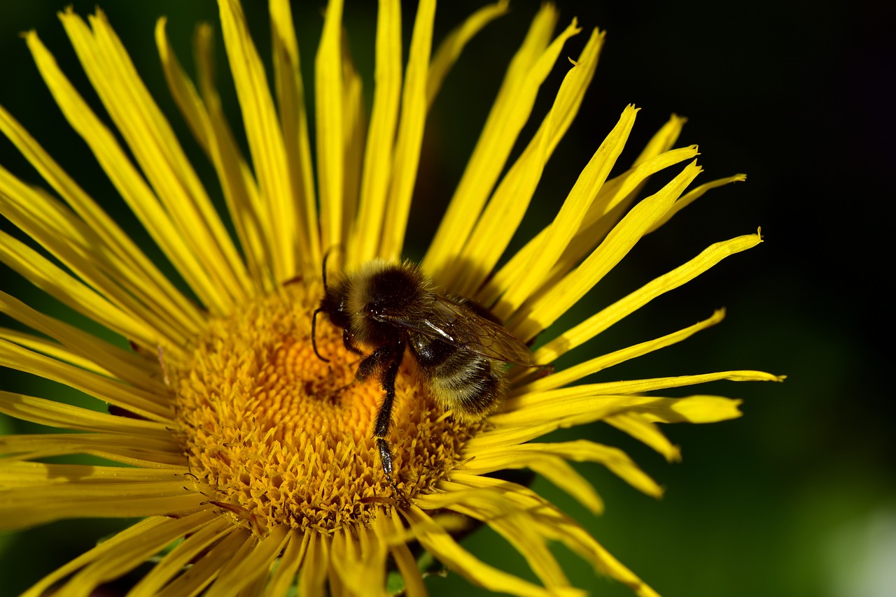太原城市改造最新動態(tài)，煥新顏，發(fā)展提速