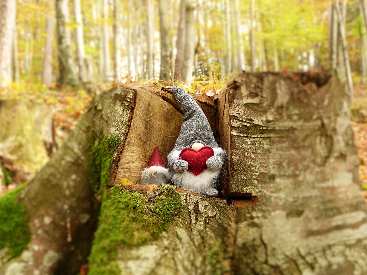 武警王信的英勇事跡與時代精神，最新消息揭秘