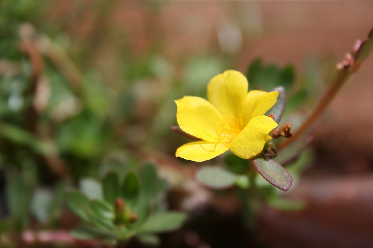 威海泊于水庫(kù)最新動(dòng)態(tài)，進(jìn)展、影響與展望