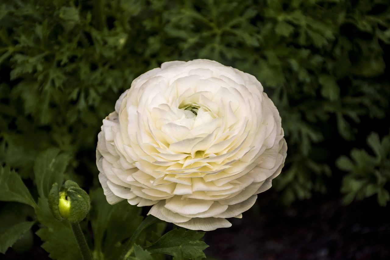 昆山花橋裕花園最新房?jī)r(jià)動(dòng)態(tài)及趨勢(shì)分析