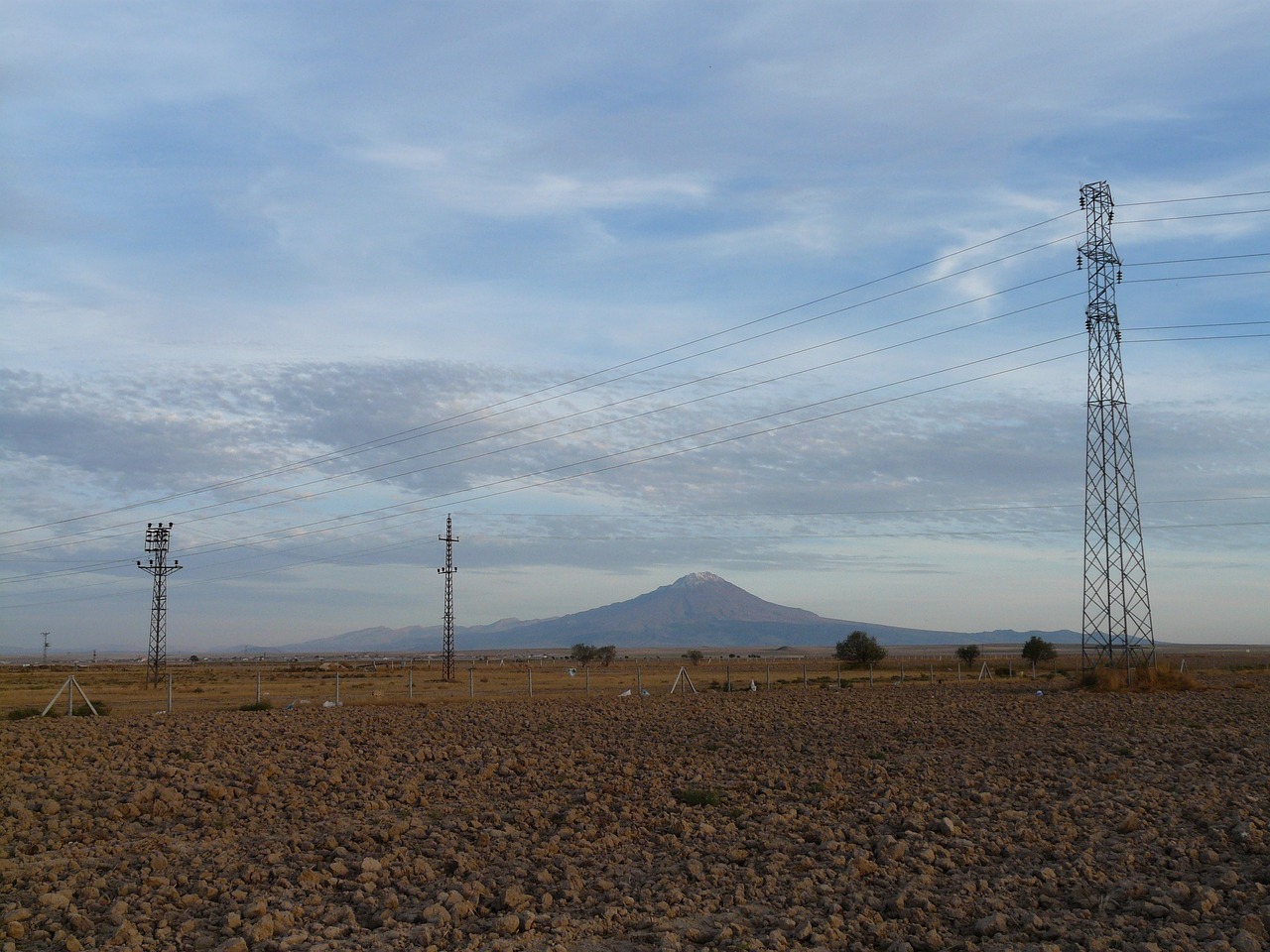 薛興國與郭茹的最新動(dòng)態(tài)與成就揭秘