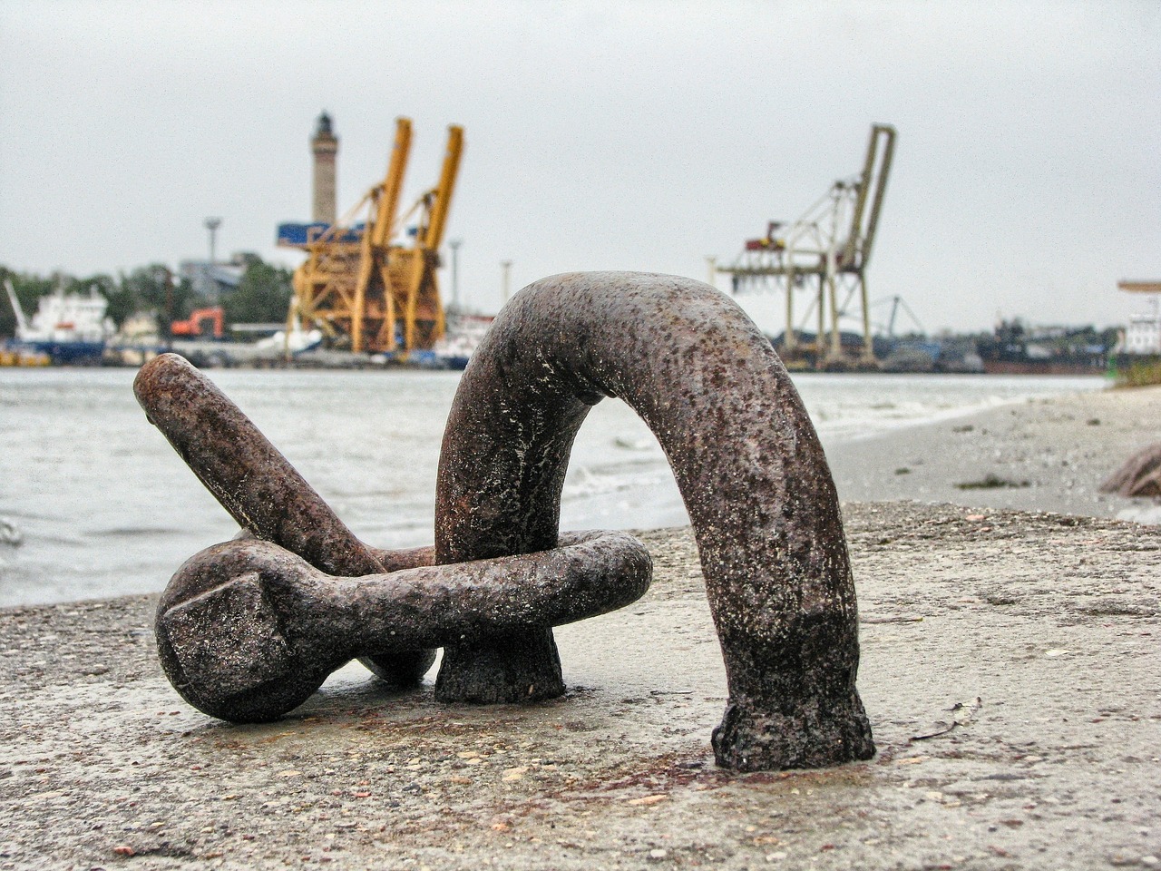 大連外經(jīng)貿(mào)最新消息概覽，最新動態(tài)與發(fā)展分析