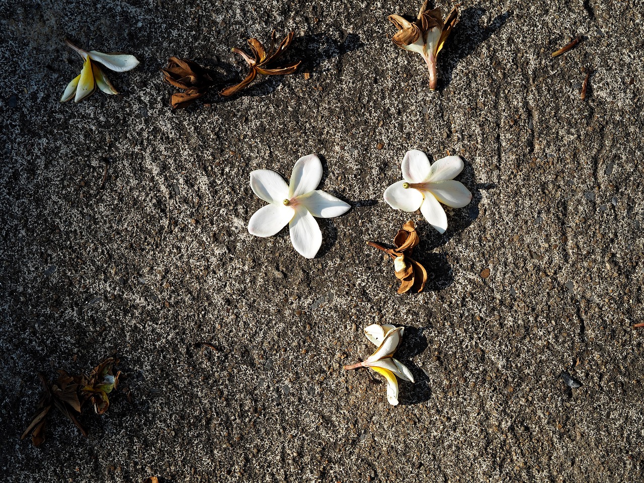 荊荊鐵路復(fù)線最新動(dòng)態(tài)更新，最新消息匯總