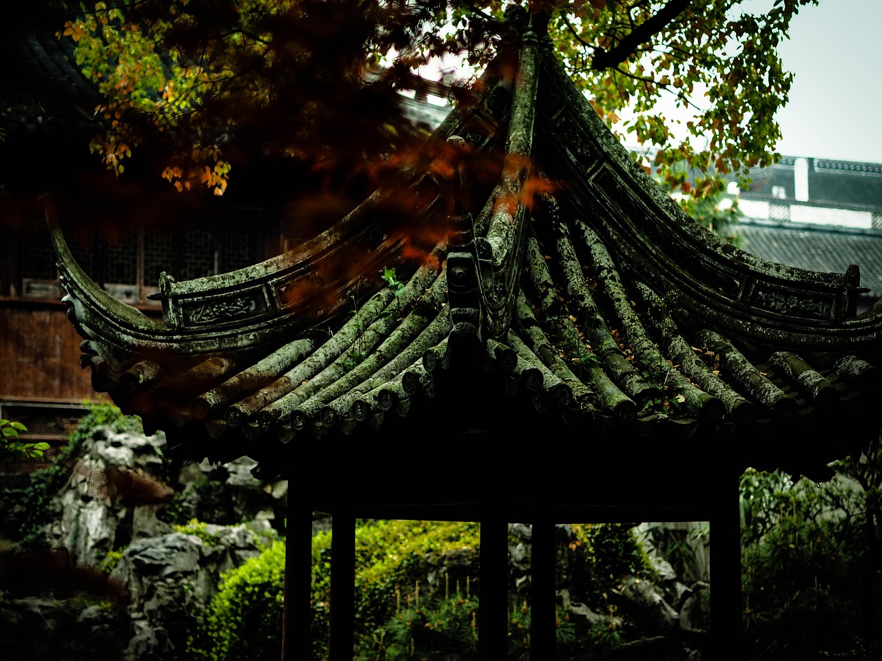 中國(guó)女排隊(duì)蓄勢(shì)待發(fā)，展現(xiàn)新篇章，最新消息與動(dòng)態(tài)速遞