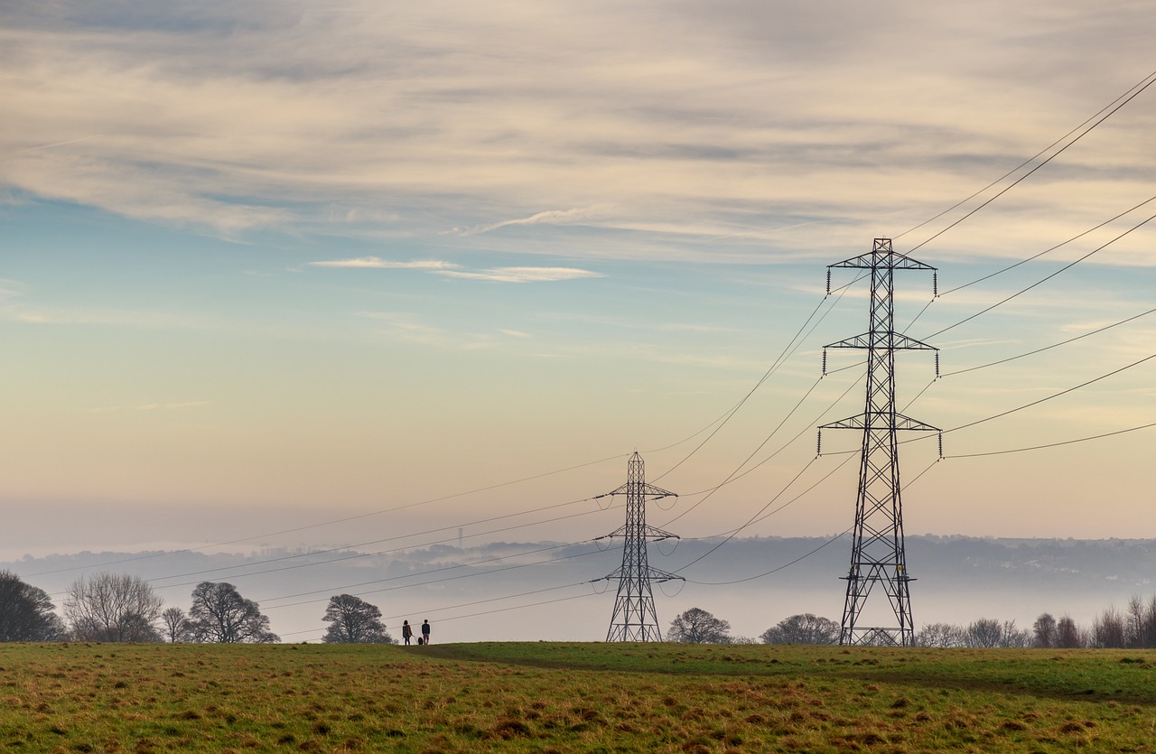 流年開花 第16頁(yè)