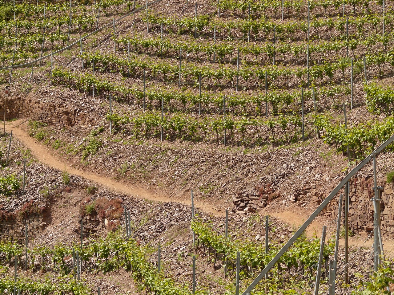 紅河谷論壇最新地址，全新探索與交流平臺的開啟