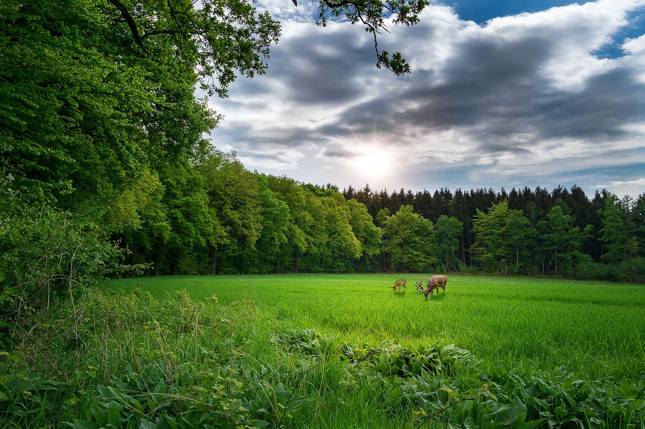 最新快手版本探索與解析，版本更新動態(tài)及功能解析