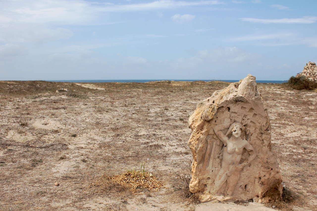 濱海旅游區(qū)新動(dòng)態(tài)，世界級(jí)旅游目的地打造最新消息