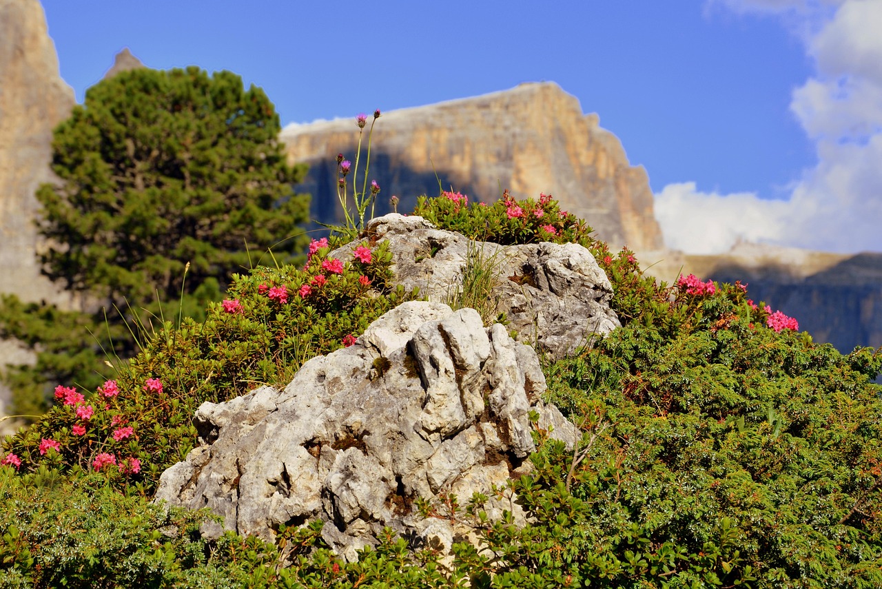 哈市道外區(qū)最新招聘動(dòng)態(tài)，崗位發(fā)布與影響分析