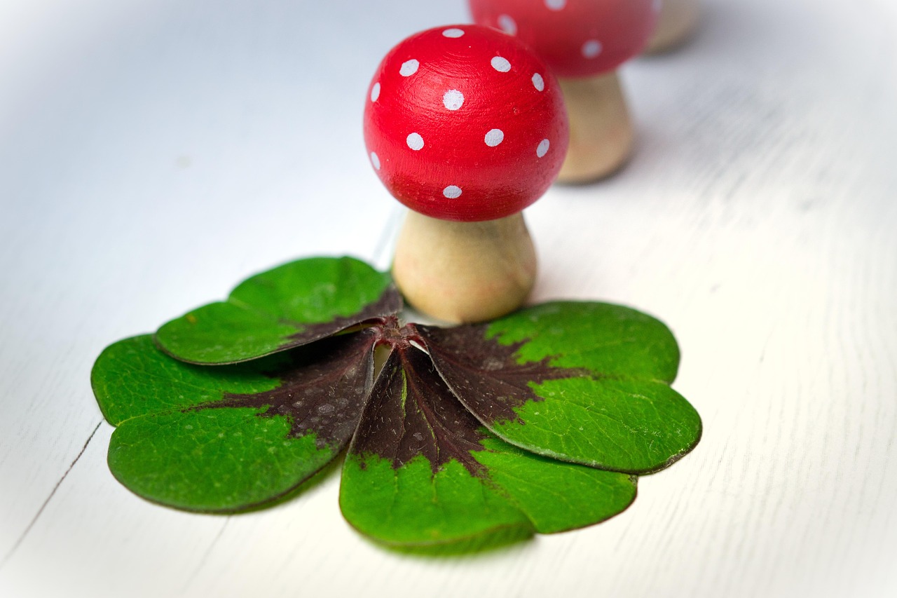 遂平城南新區(qū)蓬勃發(fā)展揭秘，最新動(dòng)態(tài)與未來(lái)展望