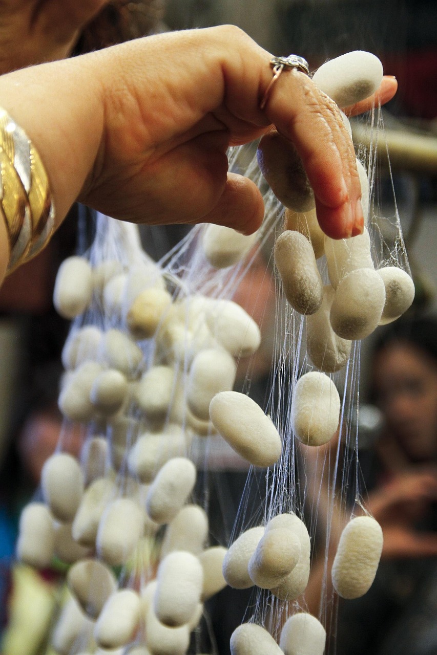 三殿村改造最新動態(tài)，重塑鄉(xiāng)村風貌，邁向現(xiàn)代化進程