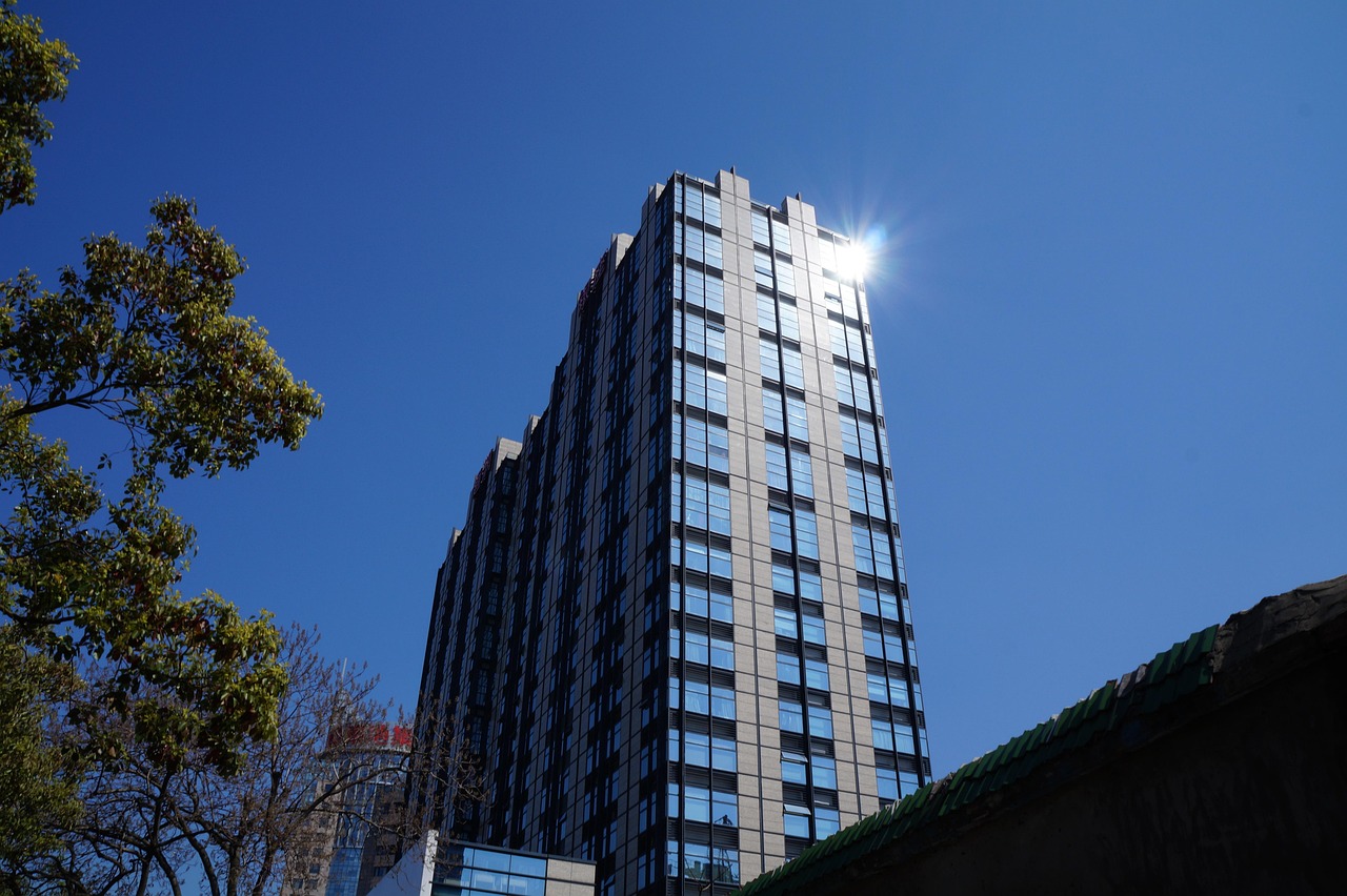 林口二手樓房最新發(fā)布，市場趨勢與購房指南