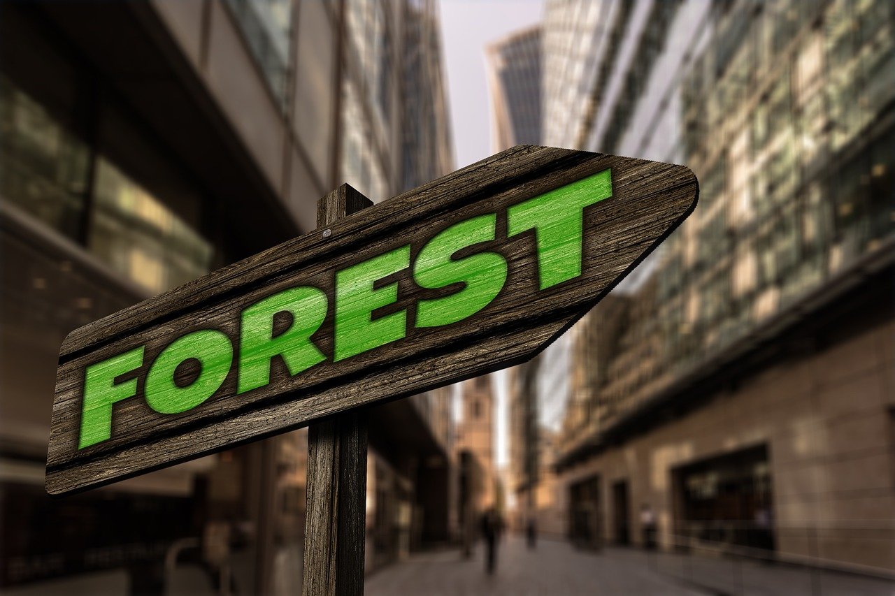 最新567彩票app下載體驗(yàn)，探索最新版本的功能與優(yōu)勢(shì)