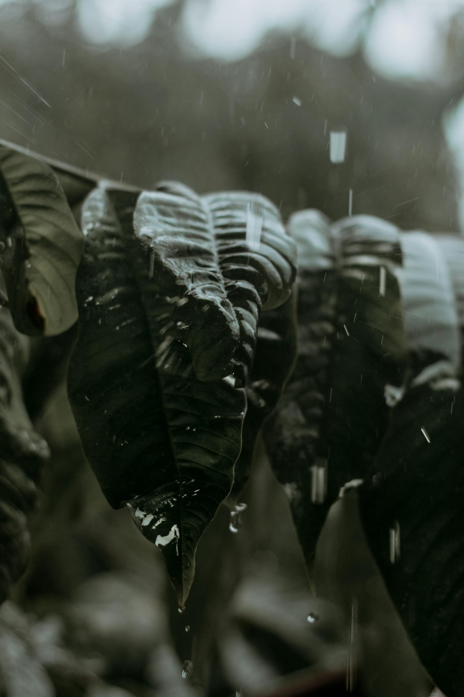 中超遼寧宏運(yùn)新賽季展望，蓄勢(shì)待發(fā)，最新動(dòng)態(tài)揭秘