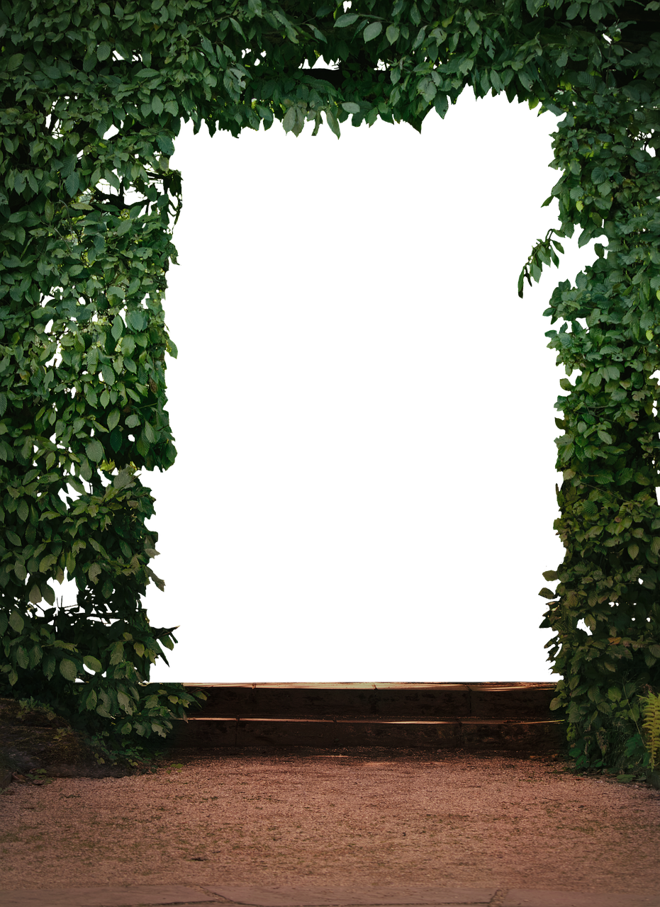 南湖公園二期最新動(dòng)態(tài)，綠色明珠的未來(lái)展望