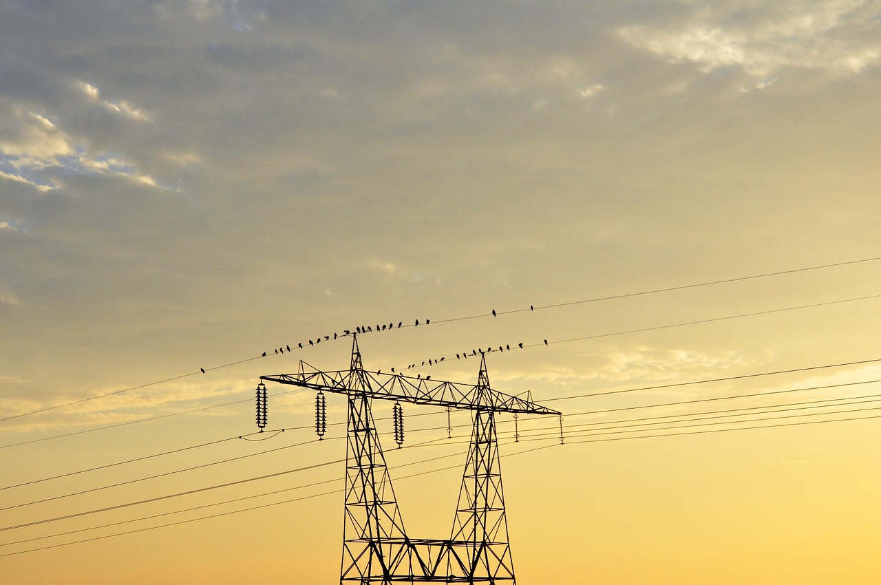 嗜夢(mèng) 第6頁(yè)