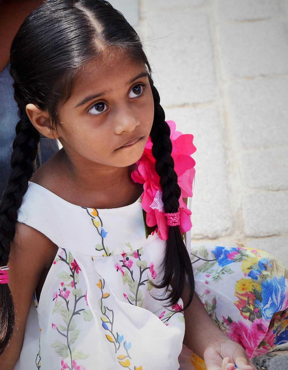 張佳寧最新力作電視劇，品質(zhì)與魅力的完美融合